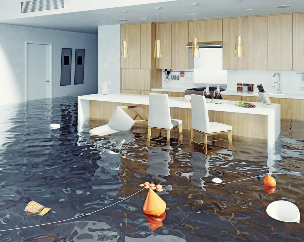 Water Damage Restoration flood in kitchen.