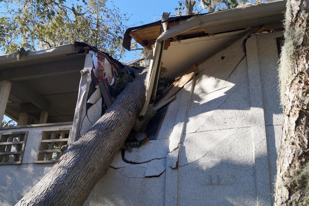 Image depicting a tree fallen onto a house, causing significant Natural damage restoration.