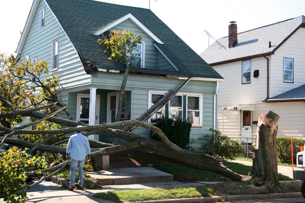 Natural Disaster Restoration tree fell on top of house.