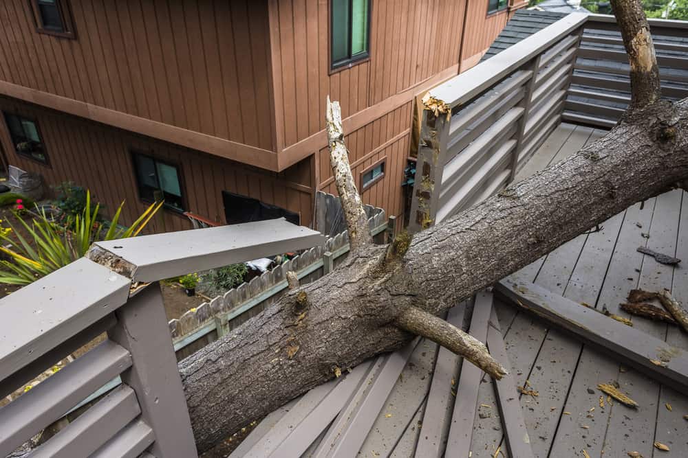 Tree fallen onto the railing of a deck, causing significant damage and necessitating restoration.