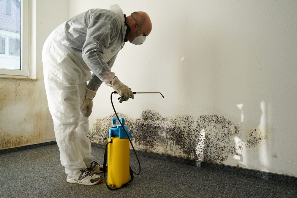 Mold growth visible on a white wall, indicating the need for mold remediation and water damage restoration.