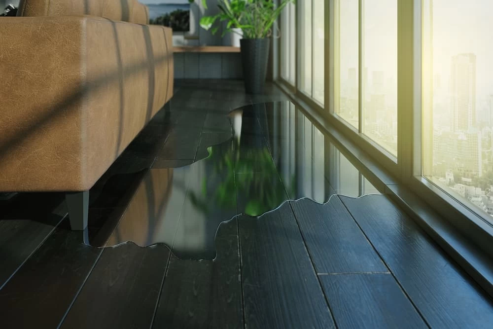 Small puddle on house floor, indicative of water damage restoration efforts.