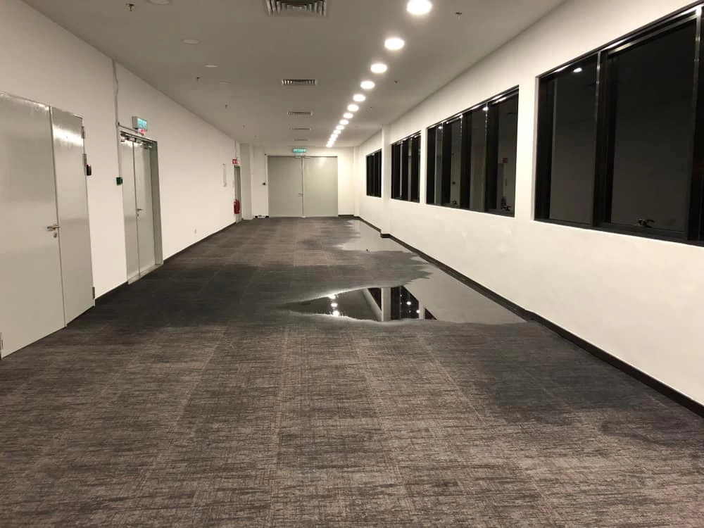 Puddle observed in the hallway, indicative of water damage that requires immediate attention and restoration.