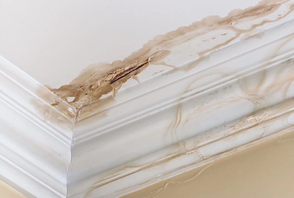 Ceiling displaying signs of water damage restoration, such as staining and sagging, indicating the necessity for restoration.