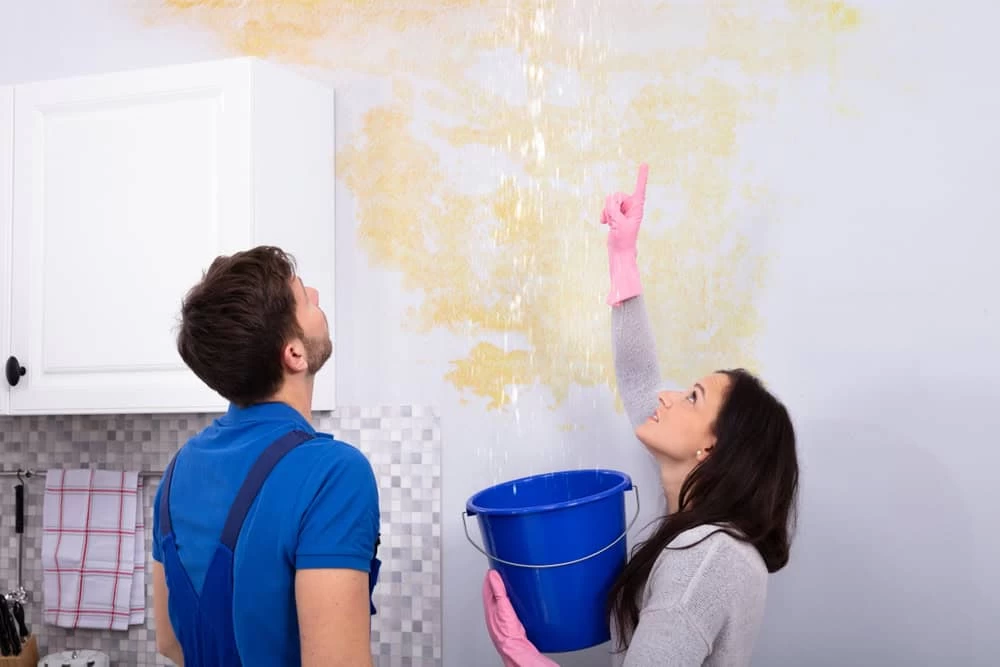 A woman wearing pink gloves points to a leaking ceiling, holding a blue bucket to catch water. A man beside her looks up at the leak, concerned about potential water damage. They are in a kitchen with light-colored walls and a cabinet in the background, contemplating calling Water Damage Restoration Services.