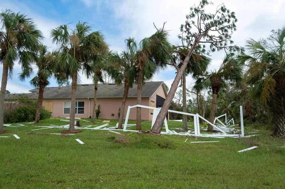 A house stands in the background with a damaged fence and several palm trees in front. One tree leans precariously, and debris is scattered across the grassy area, hinting at recent severe weather. A restoration company might soon be needed to address potential molds and other damages.