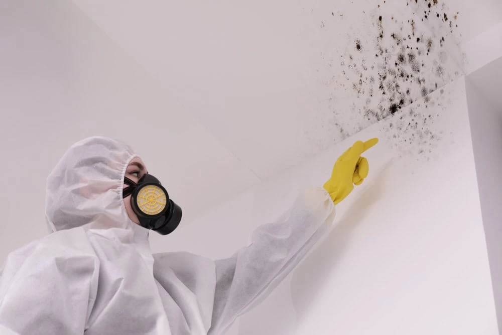 A person in a protective suit, gas mask, and yellow gloves points to black mold spots on a white ceiling corner, highlighting the crucial step in water damage restoration services.