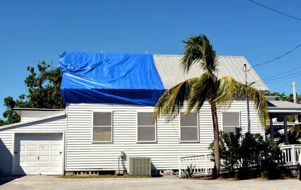 A white house with a metal roof partially covered by a blue tarp hints at recent water damage restoration. A palm tree stands in front, and a small garage is attached to the house, all under a clear blue sky.