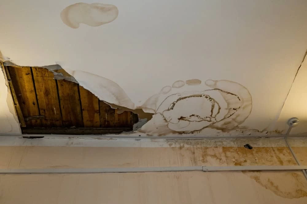 The damaged ceiling has a large hole revealing wooden beams, with water stains and mold visible around it. Discoloration spreads outward as wiring runs along the wall, highlighting the urgent need for mold removal and natural disaster restoration.
