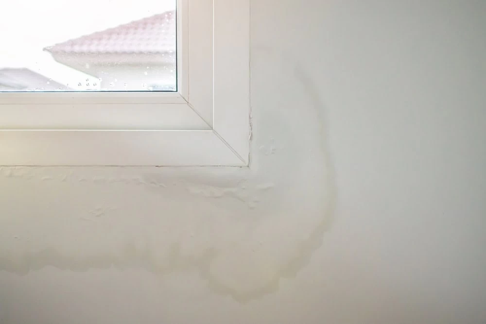A window with a white frame is shown with visible water damage on the surrounding wall. The paint is bubbling and discolored, indicating moisture seepage, especially near the lower corner of the window. For effective recovery, consider Water Damage Restoration Services to prevent further issues like mold removal.