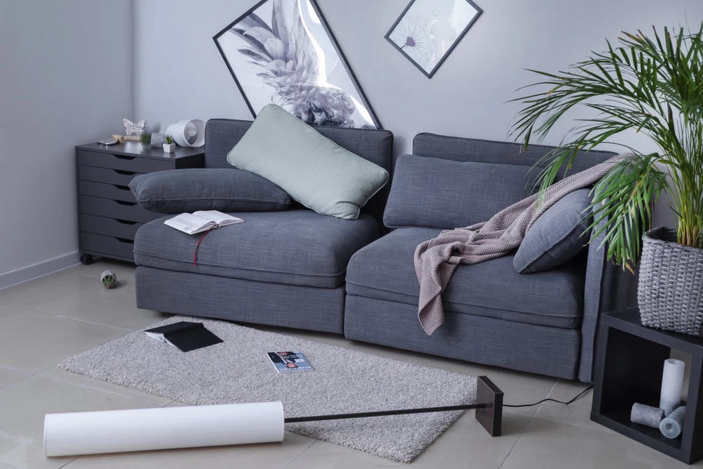 A modern living room features a gray sofa adorned with scattered cushions and a fallen floor lamp, hinting at the need for restoration. Art pieces casually hang on the wall above a small black side table. A potted plant stands to the right, and a rug partially covers the floor.