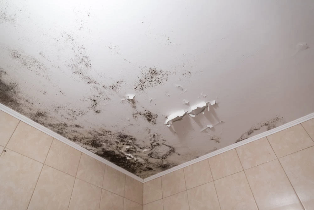 The ceiling suffers from extensive black mold damage in a corner, with peeling and cracked paint. Below, the wall is tiled in light brown, showing signs of needing water damage restoration services from a skilled restoration company.