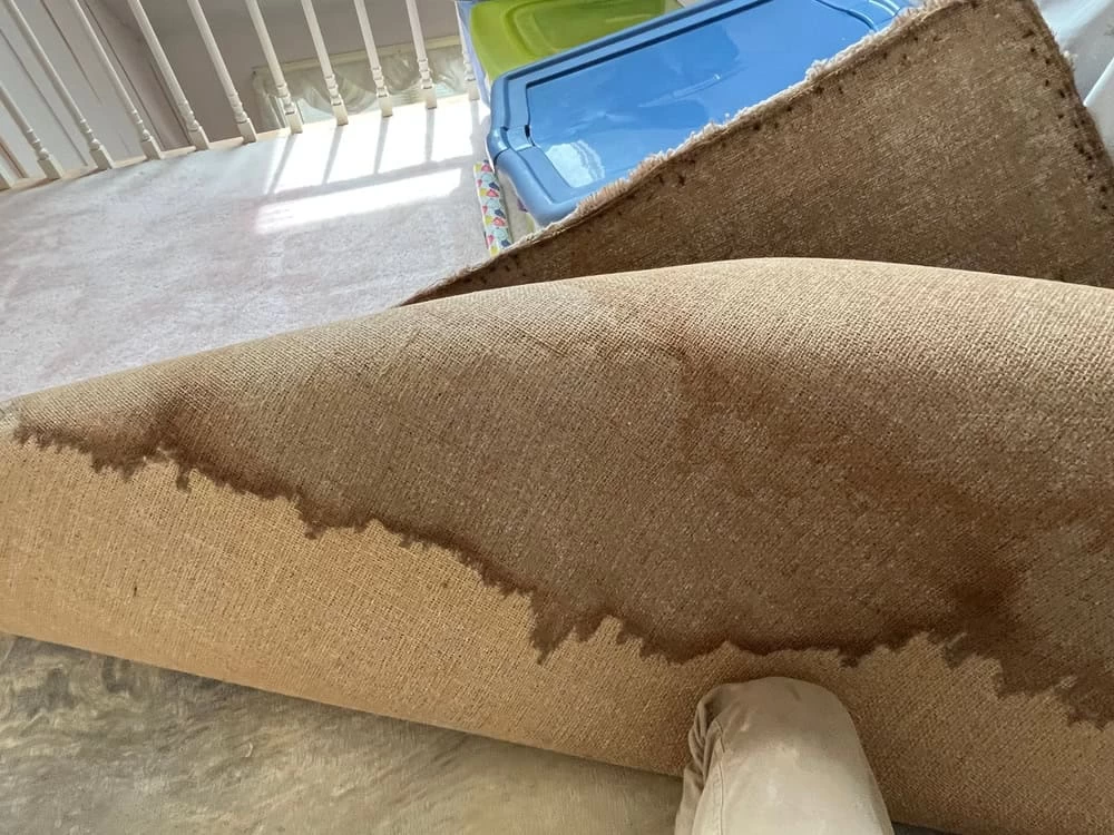 A section of beige carpet partially rolled back to reveal a water-stained underside. The top appears dry, while the bottom shows dark water damage. A blue plastic storage bin is visible in the background near a staircase railing.