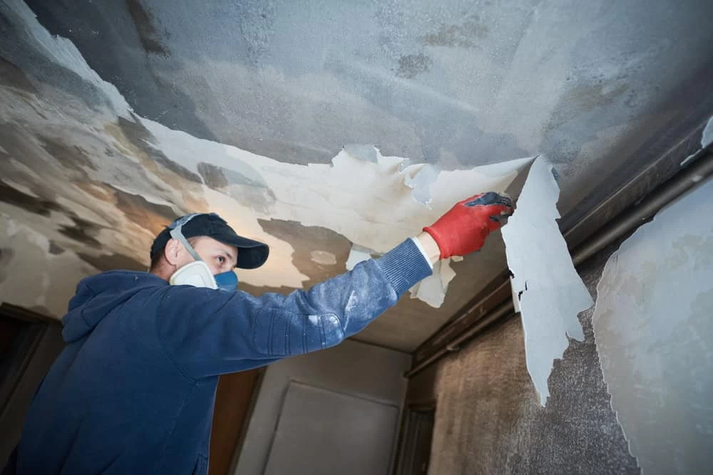 A person in a navy hoodie, cap, and red gloves is peeling old wallpaper from a ceiling. Wearing a protective mask and using a scraping tool, they reveal signs of wear and potential mold removal needs as the damaged sections peel away.